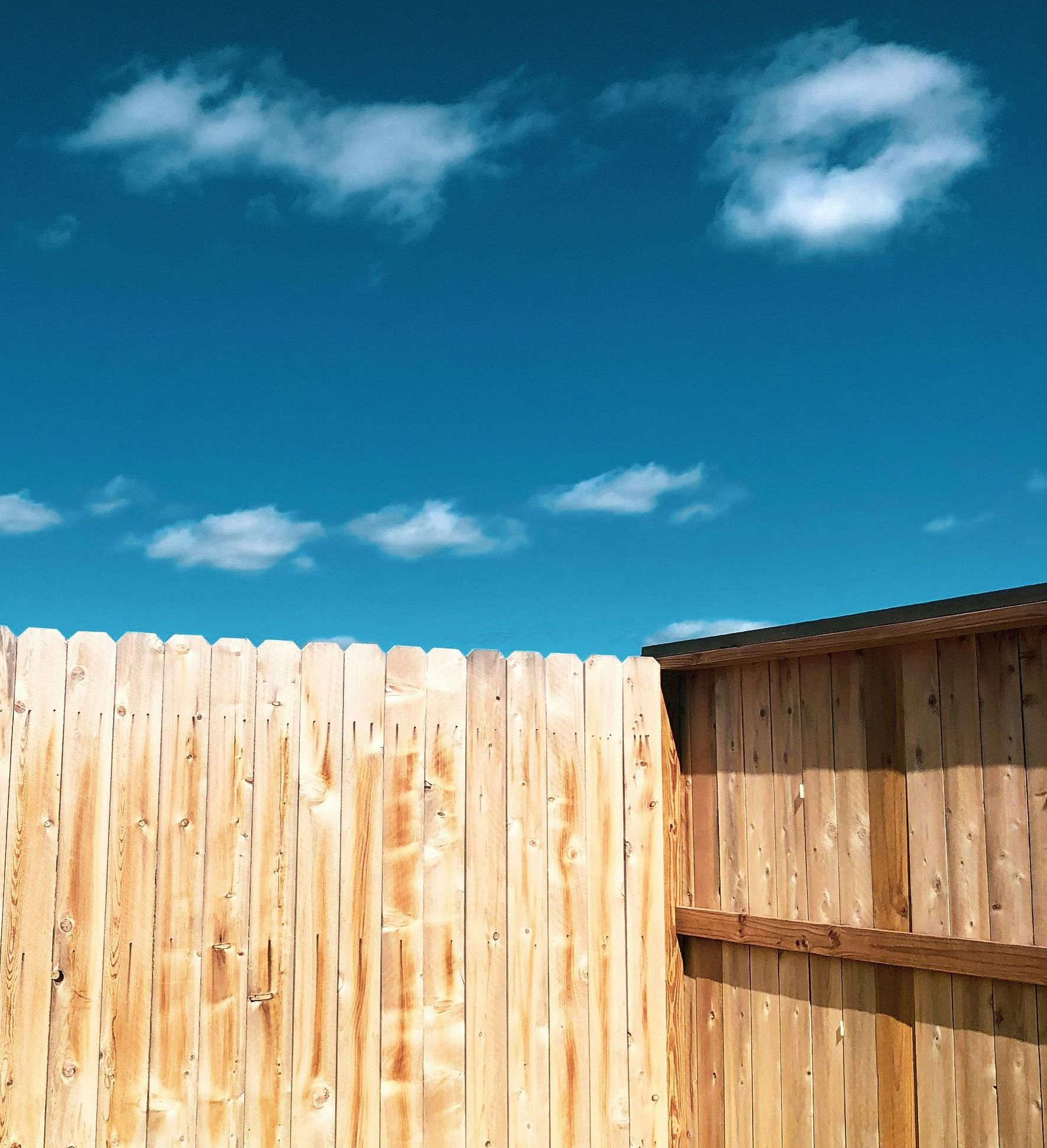 brown wooden fence under blue sky during daytime